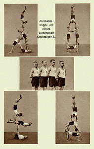 Senftenberg